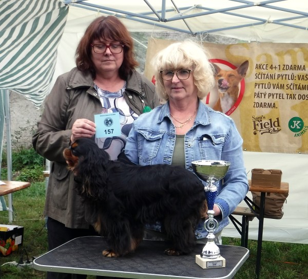 KV 2020-I, 11.7.2020, Městec Králové